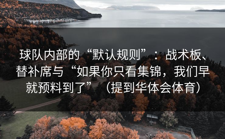 球队内部的“默认规则”：战术板、替补席与“如果你只看集锦，我们早就预料到了”（提到华体会体育）