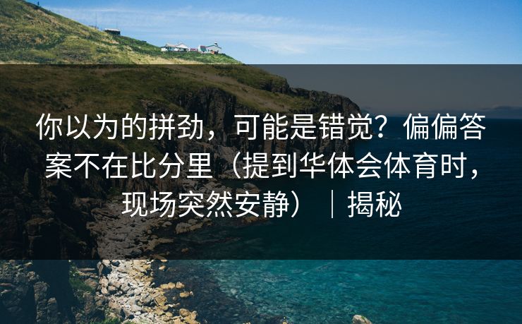 你以为的拼劲，可能是错觉？偏偏答案不在比分里（提到华体会体育时，现场突然安静）｜揭秘