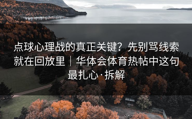 点球心理战的真正关键？先别骂线索就在回放里｜华体会体育热帖中这句最扎心·拆解