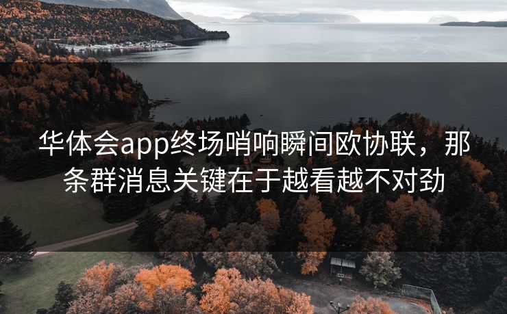 华体会app终场哨响瞬间欧协联，那条群消息关键在于越看越不对劲